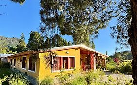Mama Eva House